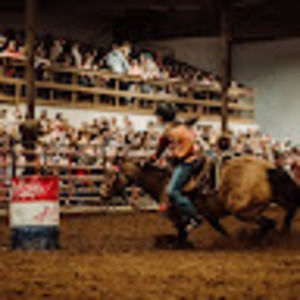 Meet your Posher, Shelby